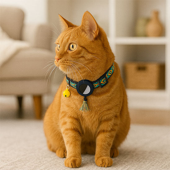 collier GPS chat