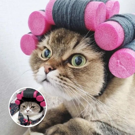 Déguisement pour chat en forme de perruque