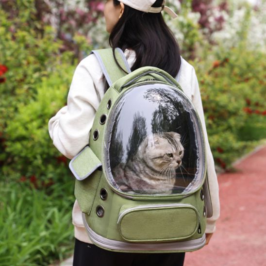 sac a dos chat - universmiaou