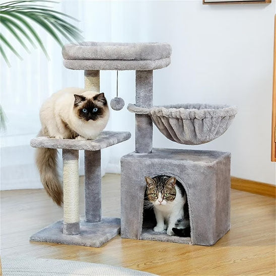 Arbre à chat