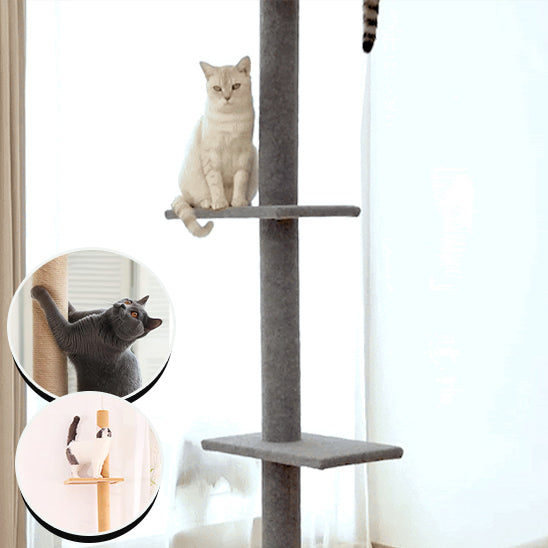 Arbre à chat