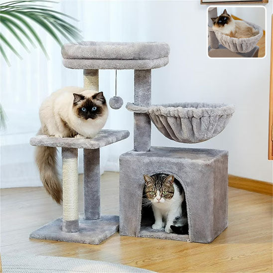 Arbre à chat