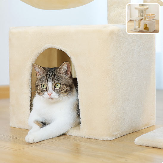 Arbre à chat