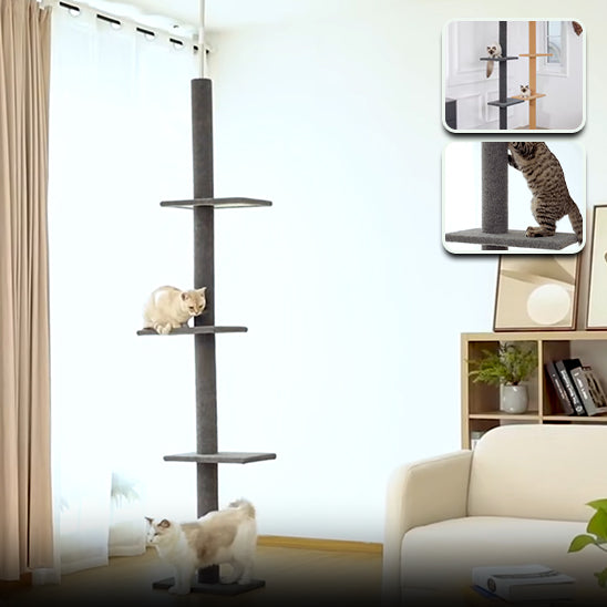 Arbre à chat