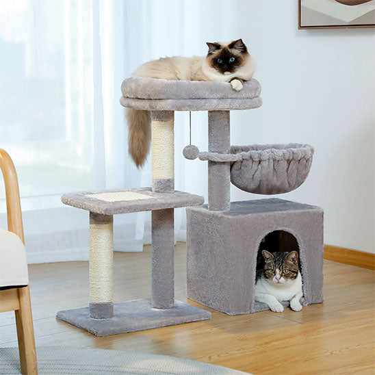 Arbre à chat