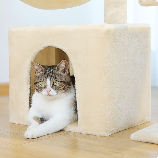 Arbre à chat