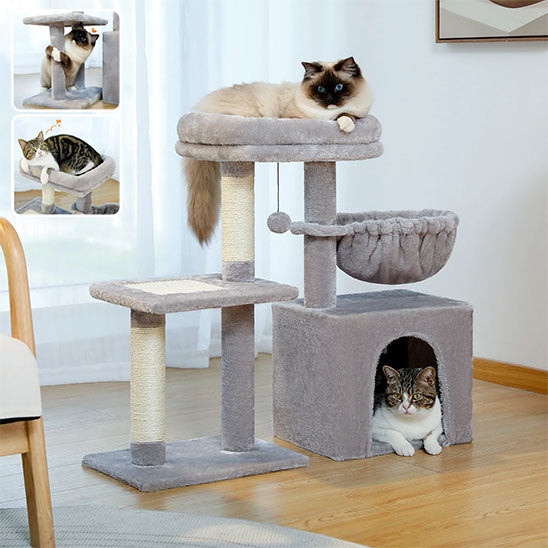 Arbre à chat