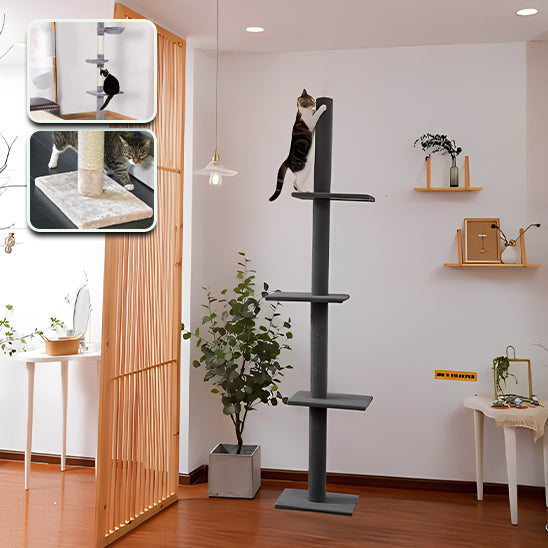 Arbre à chat