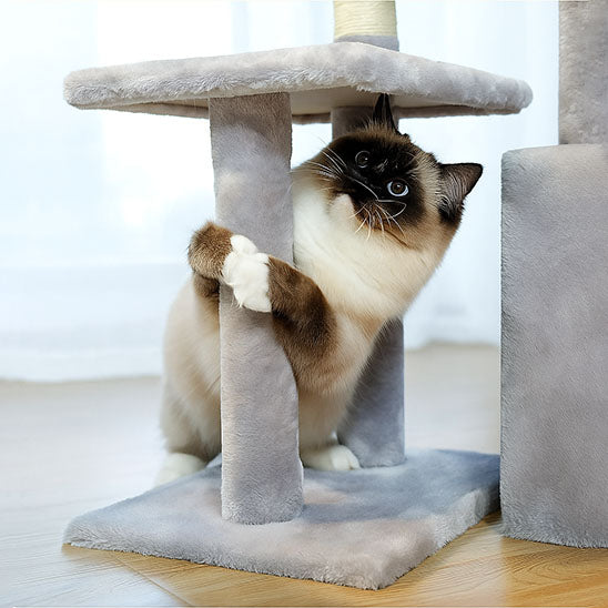 Arbre à chat