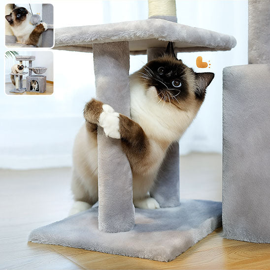 Arbre à chat