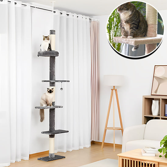 Arbre à chat