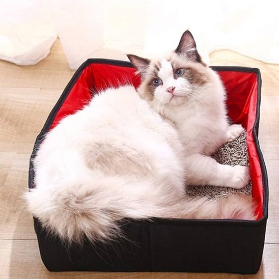 Bac à litière de voyage pliable et transportable - universmiaou