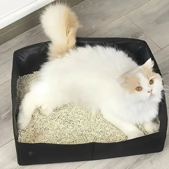 Bac à litière pliable pour chat en plein air - universmiaou