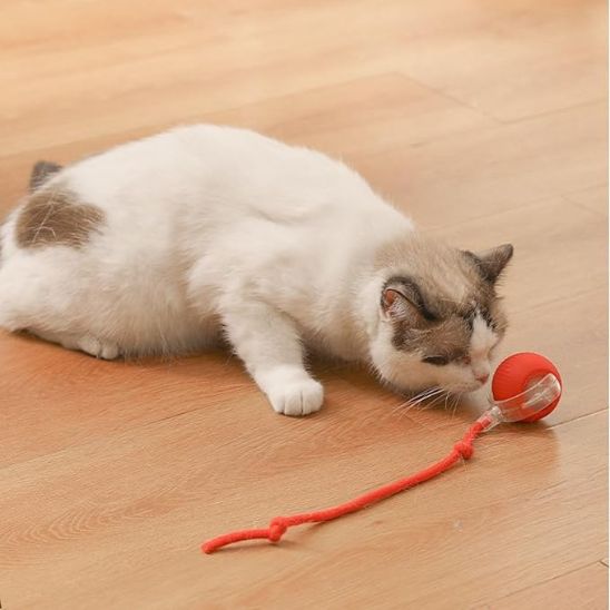 Balle électrique intelligente pour chat - universmiaou
