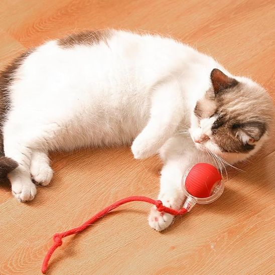 Balle électrique intelligente pour chat - universmiaou