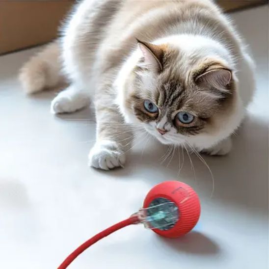 Balle électrique intelligente pour chat - universmiaou