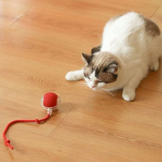 Balle électrique intelligente pour chat - universmiaou
