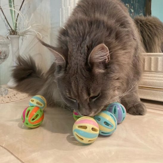 Balles avec cloche pour chats et chatons - universmiaou