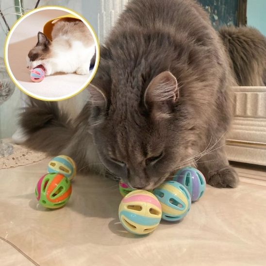 Balles avec cloche pour chats et chatons - universmiaou
