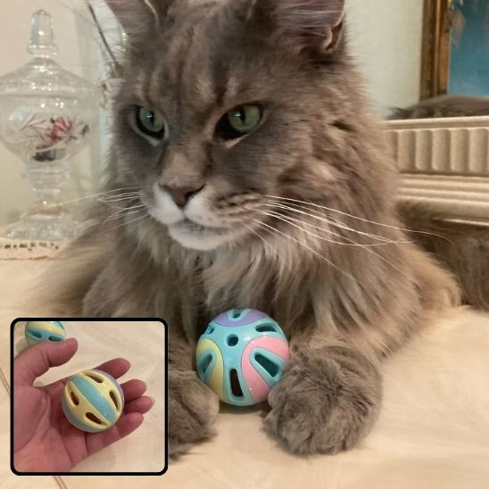 Balles avec cloche pour chats et chatons - universmiaou