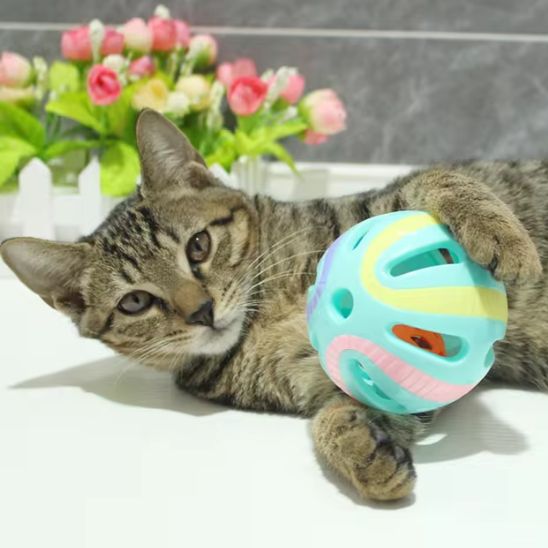 Balles avec cloche pour chats et chatons - universmiaou