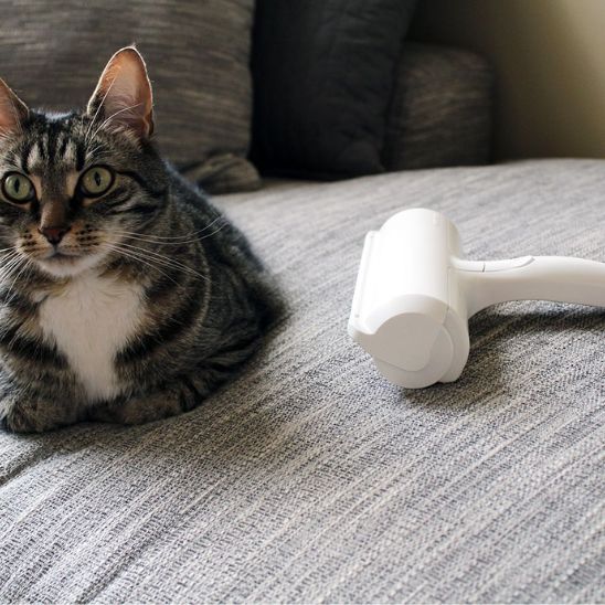 Brosse anti - peluches pour poils de chats - universmiaou