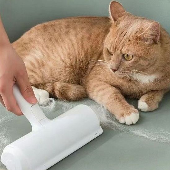 Brosse anti - peluches pour poils de chats - universmiaou
