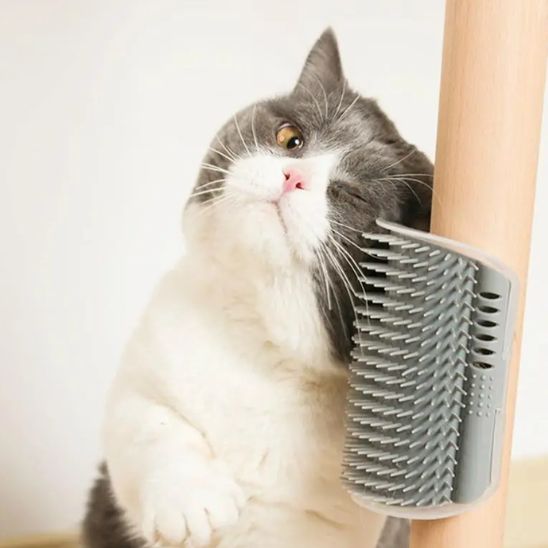 Brosse de massage pour chat - universmiaou
