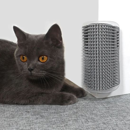 Brosse de massage pour chat - universmiaou