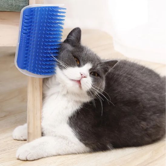 Brosse de massage pour chat - universmiaou