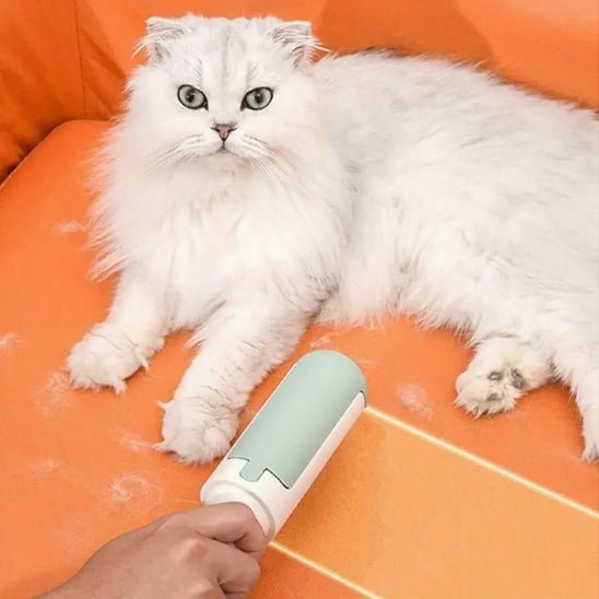 Brosse de nettoyage de fourrure pour chats - universmiaou