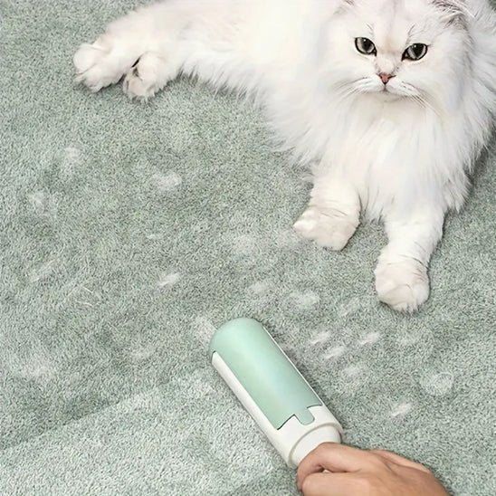 Brosse de nettoyage de fourrure pour chats - universmiaou