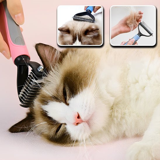 Brosse de toilettage pour animaux de compagnie - universmiaou