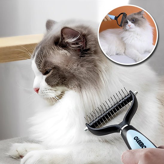 Brosse de toilettage pour animaux de compagnie - universmiaou