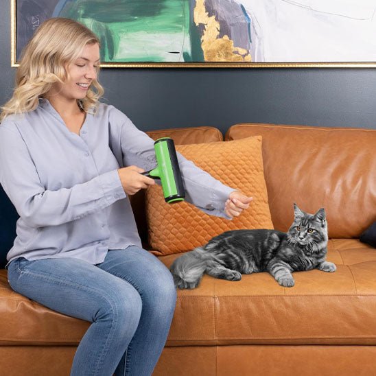 Brosse de toilettage pour chat - universmiaou