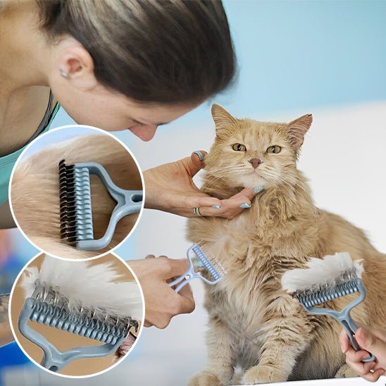 Brosse démêlante de poils morts pour chats - universmiaou