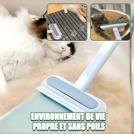 Brosse d'épilation pour animaux de compagnies - universmiaou