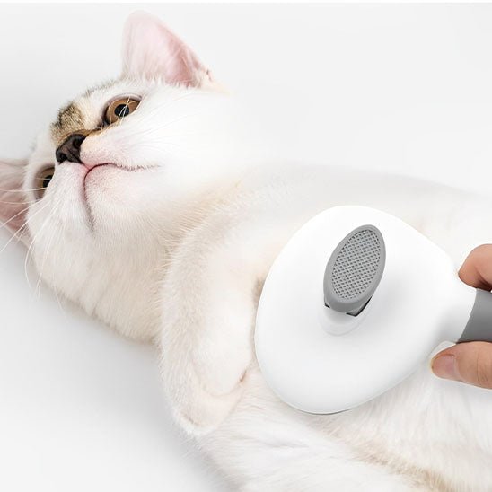 Brosse en acier inoxydable chats - universmiaou