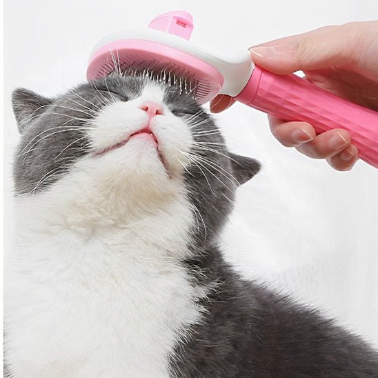 Brosse en acier inoxydable chats - universmiaou