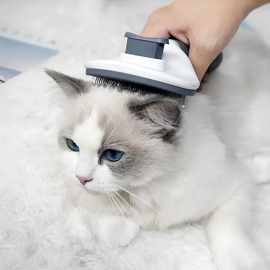 Brosse en acier inoxydable chats - universmiaou