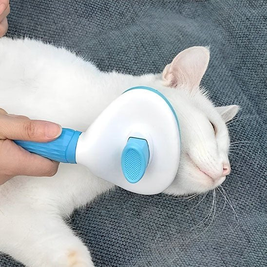 Brosse en acier inoxydable chats - universmiaou