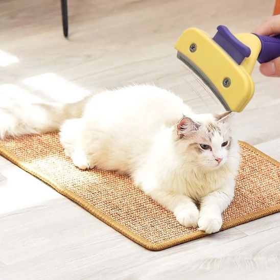Brosse épilateur de poils pour chat - universmiaou
