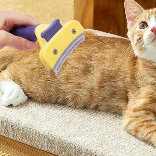 Brosse épilateur de poils pour chat - universmiaou