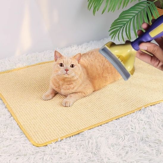 Brosse épilateur de poils pour chat - universmiaou