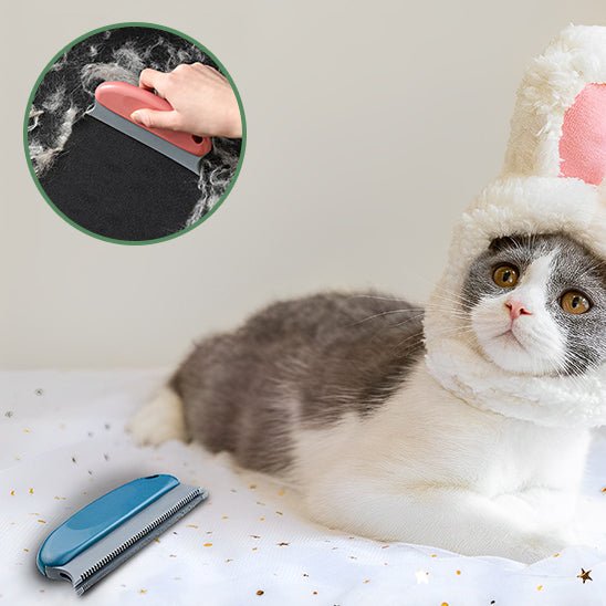 Brosse épilatoire pour animaux de compagnie - universmiaou
