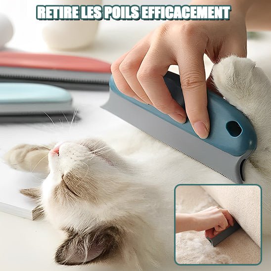 Brosse épilatoire pour animaux de compagnie - universmiaou