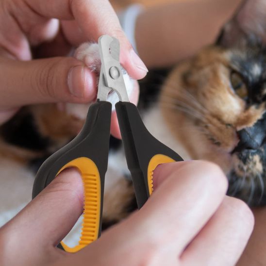 Ciseaux à ongles pour chat - universmiaou