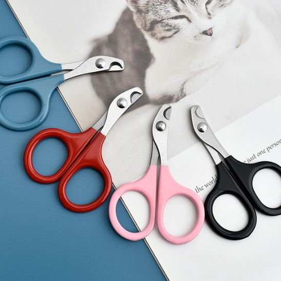 ciseaux pour chat - premium - universmiaou