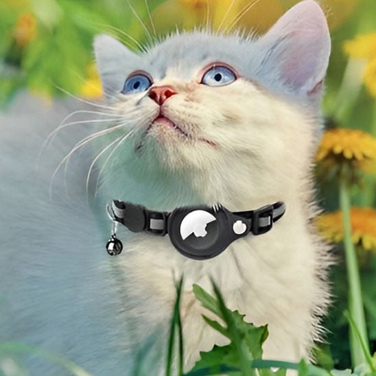 Collier anti - étranglement avec cloche pour chat - universmiaou