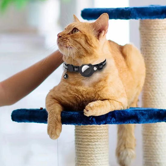 Collier anti - étranglement avec cloche pour chat - universmiaou